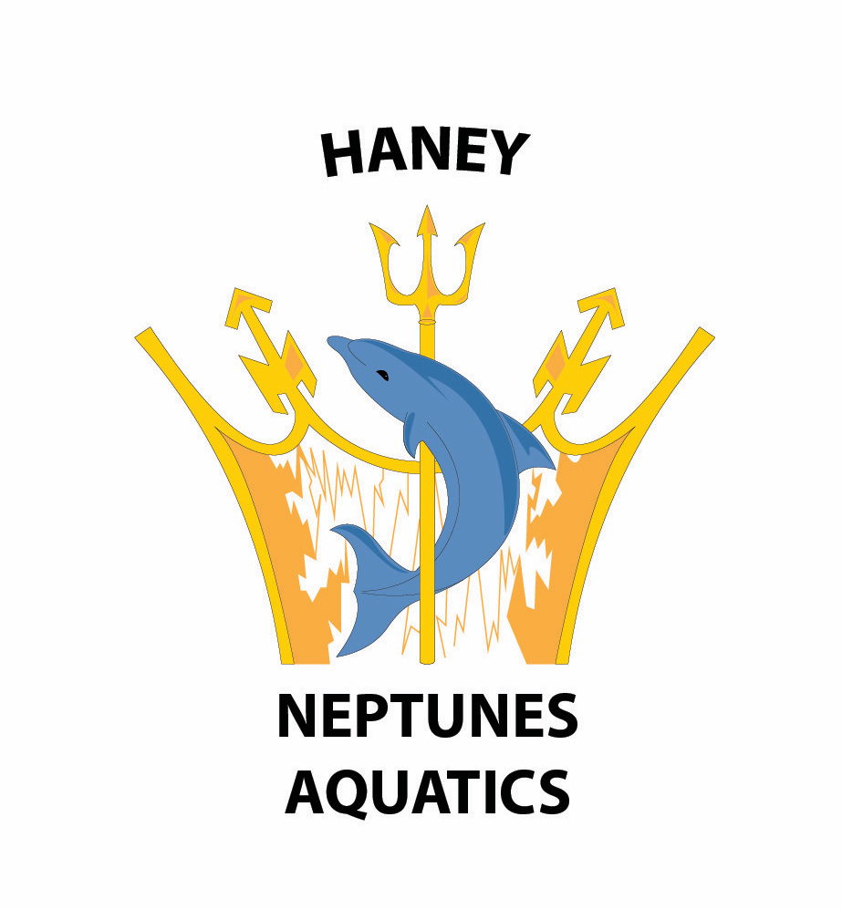 The final product of the Haney Neptunes logo adaptation.