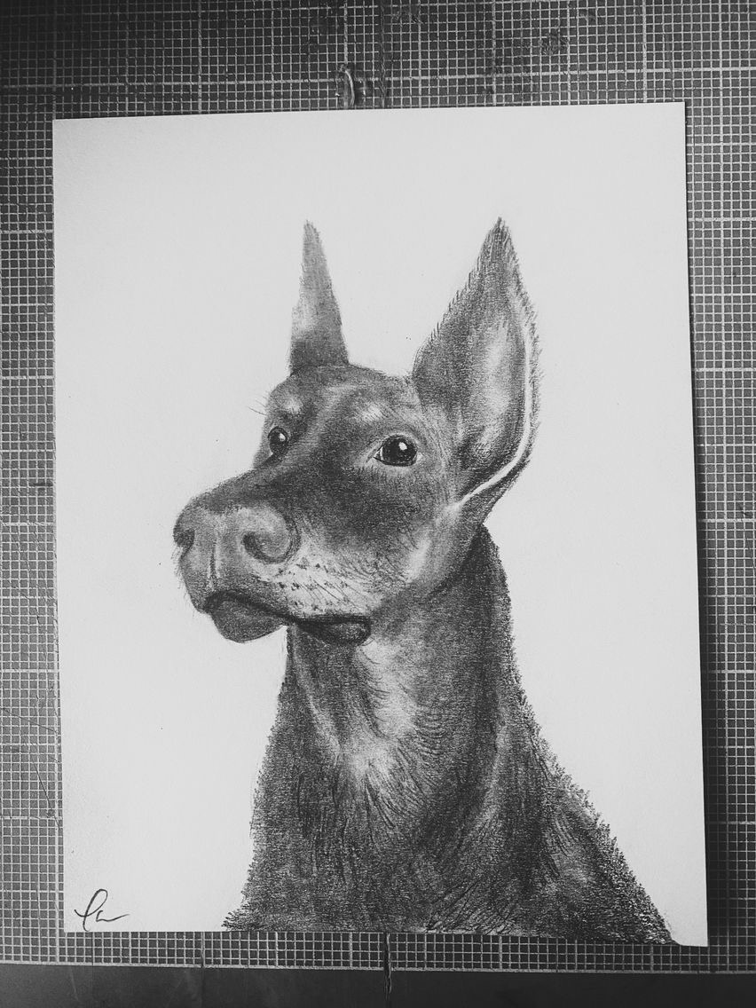 Sketch of a dog.