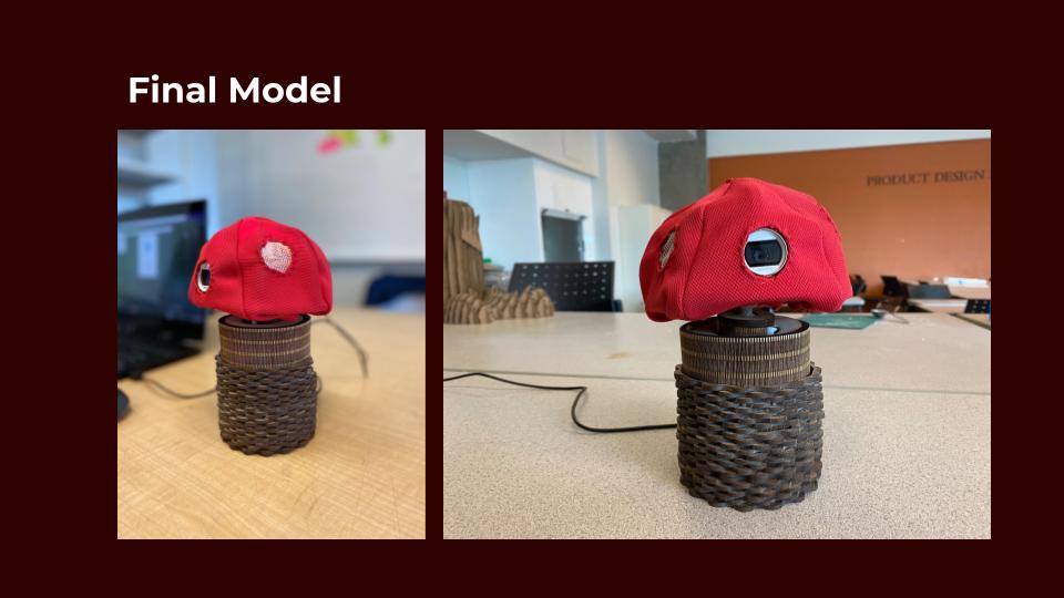 Images of the final model.